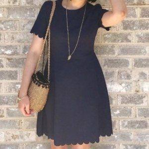 BANANA REPUBLIC NAVY BLUE FLARE SCALLOPED DRESS SIZE 8